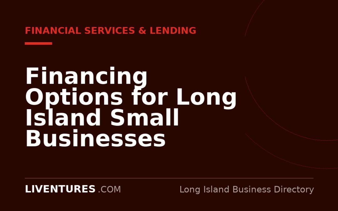 Financing Options for Long Island Small Businesses